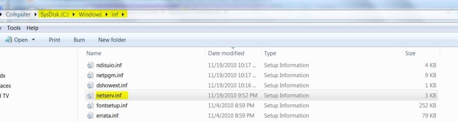 Network Services INF.JPG