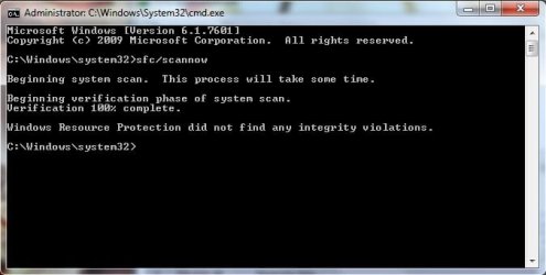 sfc.jpg