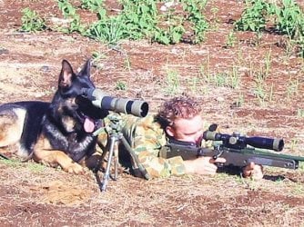dog.jpg