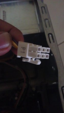 IMAG0174.jpg