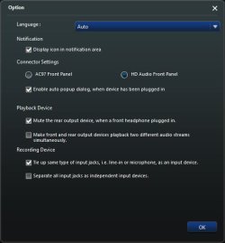 Realtek Options Panel.JPG