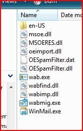 wmv.JPG