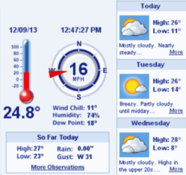 wx bug.PNG