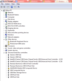 Device Manager.PNG