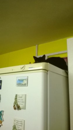 WP_20131011_003.jpg