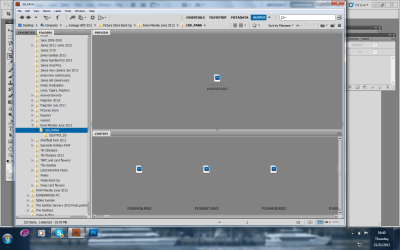 RW2 Files.png