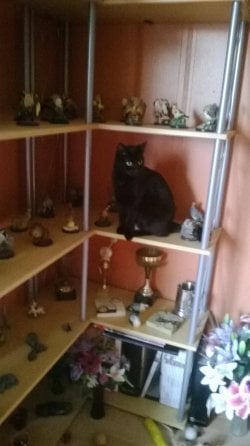 WP_20131211_001.jpg