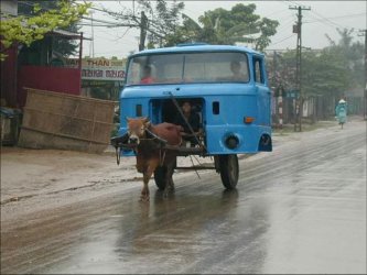 burroboi[1].jpg