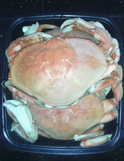 crab.PNG