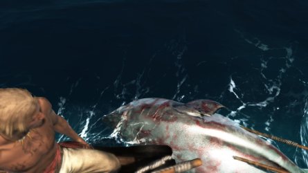 Assassin’s Creed® IV Black Flag™2013-11-23-14-44-36.jpg