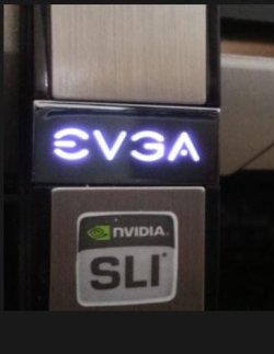SLI 1.JPG SLI 1.JPG