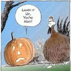 Pumpkin cartoon.jpg