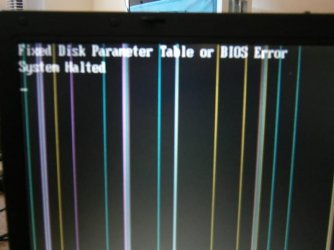 PC150229.JPG