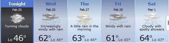 Rain.jpg