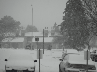 DSC00094-1.png