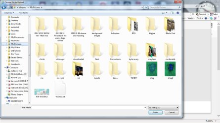 my pictures.jpg