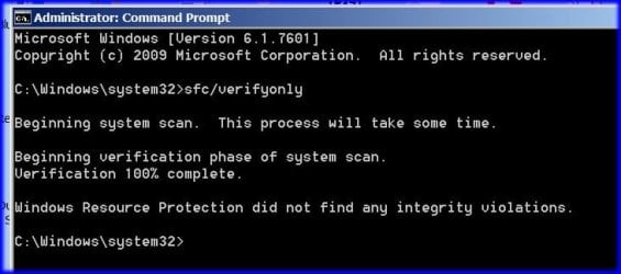 sfc.jpg