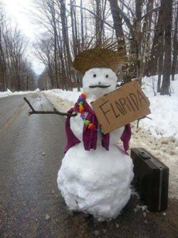 christmas lol - 1.jpg christmas lol - 1.jpg