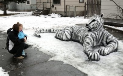 snow tiger.jpg