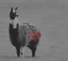 Llama.png Llama.png