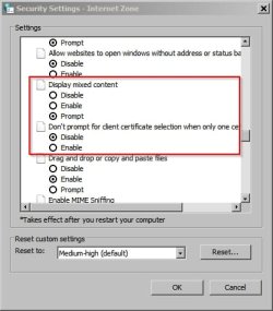 Security Settings - Internet Zone 1.jpg