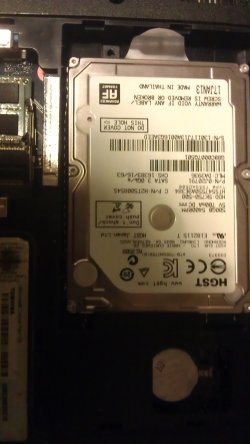 1389553293584.jpg