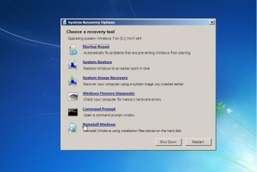ReinstallfromRE.jpg