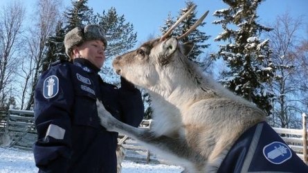Police_Reindeer.jpg Police_Reindeer.jpg