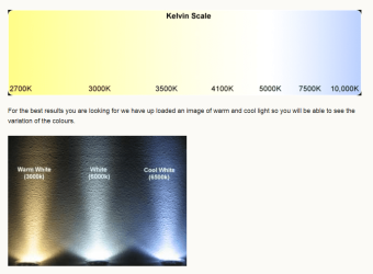 Kevin Scale.PNG