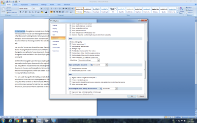 Word settings.png