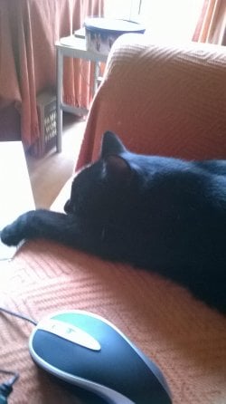 WP_20140319_001.jpg