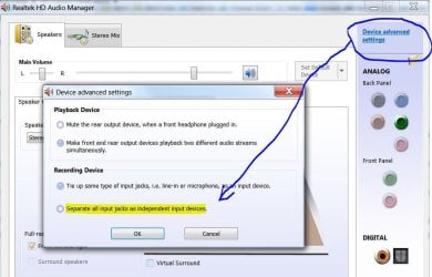Realtek - Separate Input.JPG