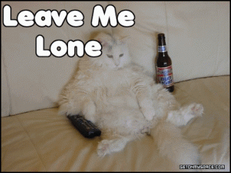 cat2.gif
