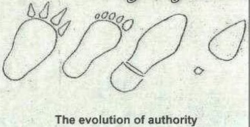 ATT00008.jpeg ATT00008.jpeg