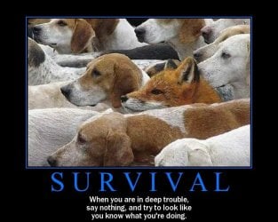 Funny%20Motivational%20Posters%209.jpg