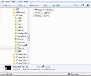 Theme Pack.jpg