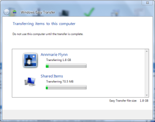 Windows Easy Transfer (Step 6c Transferring Files).PNG