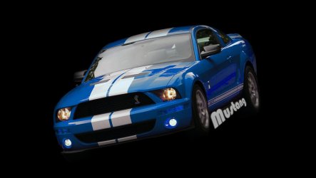 Mustang (Low Resolution).jpg Mustang (Low Resolution).jpg