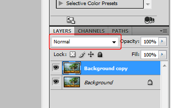 CS4_Layer.PNG