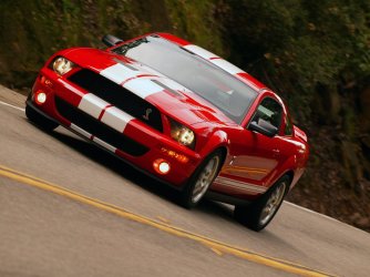 Mustang.jpg