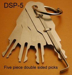 dsp5-600.jpg