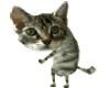 mangodipussy.gif mangodipussy.gif