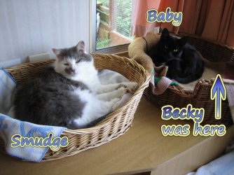 babes.jpg