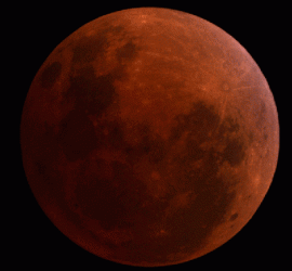 Moon-almost-1.gif Moon-almost-1.gif