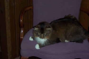 100_1101.JPG