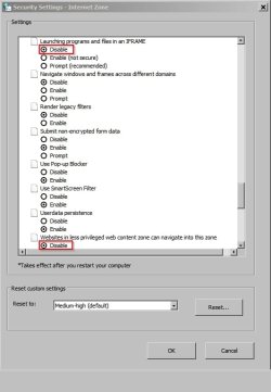 Security Settings - Internet Zone.jpg