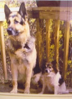 Rix and Tuffy.jpg