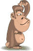 ApeScratchingHeadT.gif ApeScratchingHeadT.gif