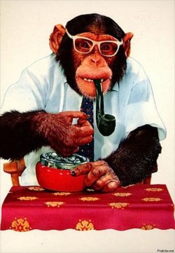 smoking_monkeys_01.jpg smoking_monkeys_01.jpg