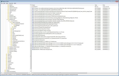 WindowsNTCurrentVersionAppCompatflagsCompatibility AssistantPersisted.jpg